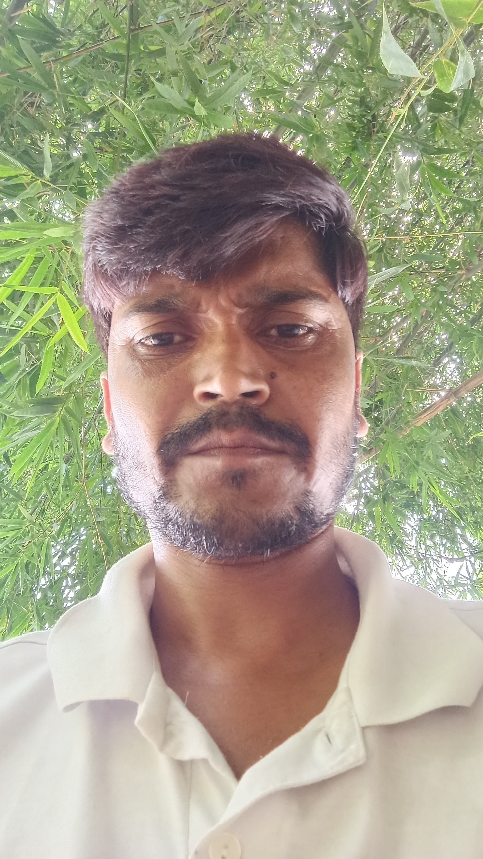 sushant kumar roy
